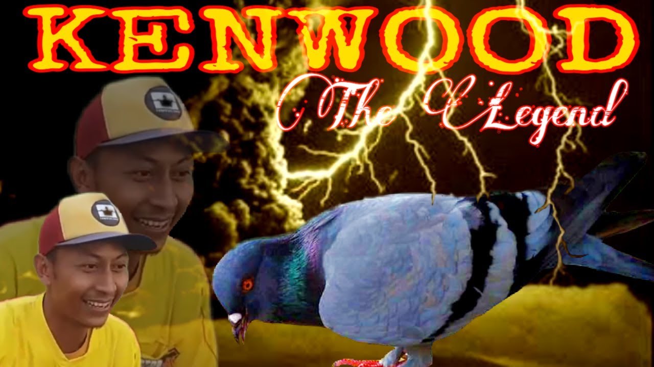 MUNCULNYA SANG LEGENDA BARU !! KENWOOD Kenangan indah MAS JONED