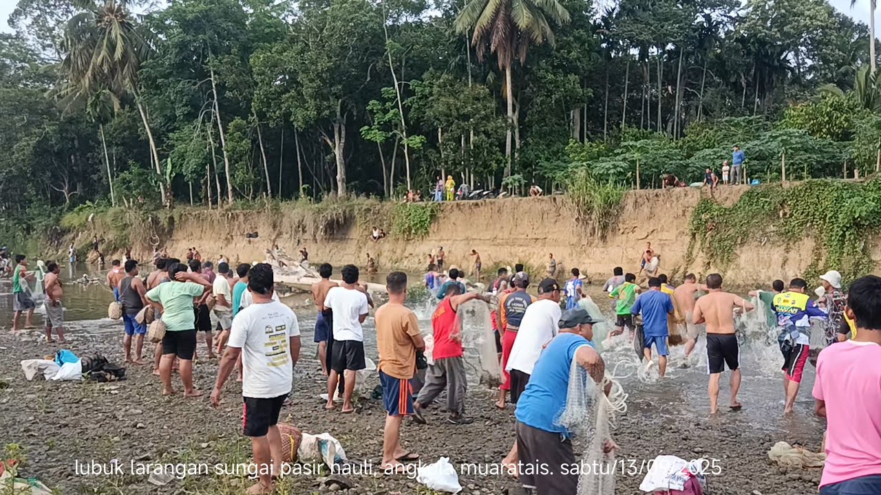 Jala ikan beramai ramai..sungai Lubuk larangan pasir nauli.. 