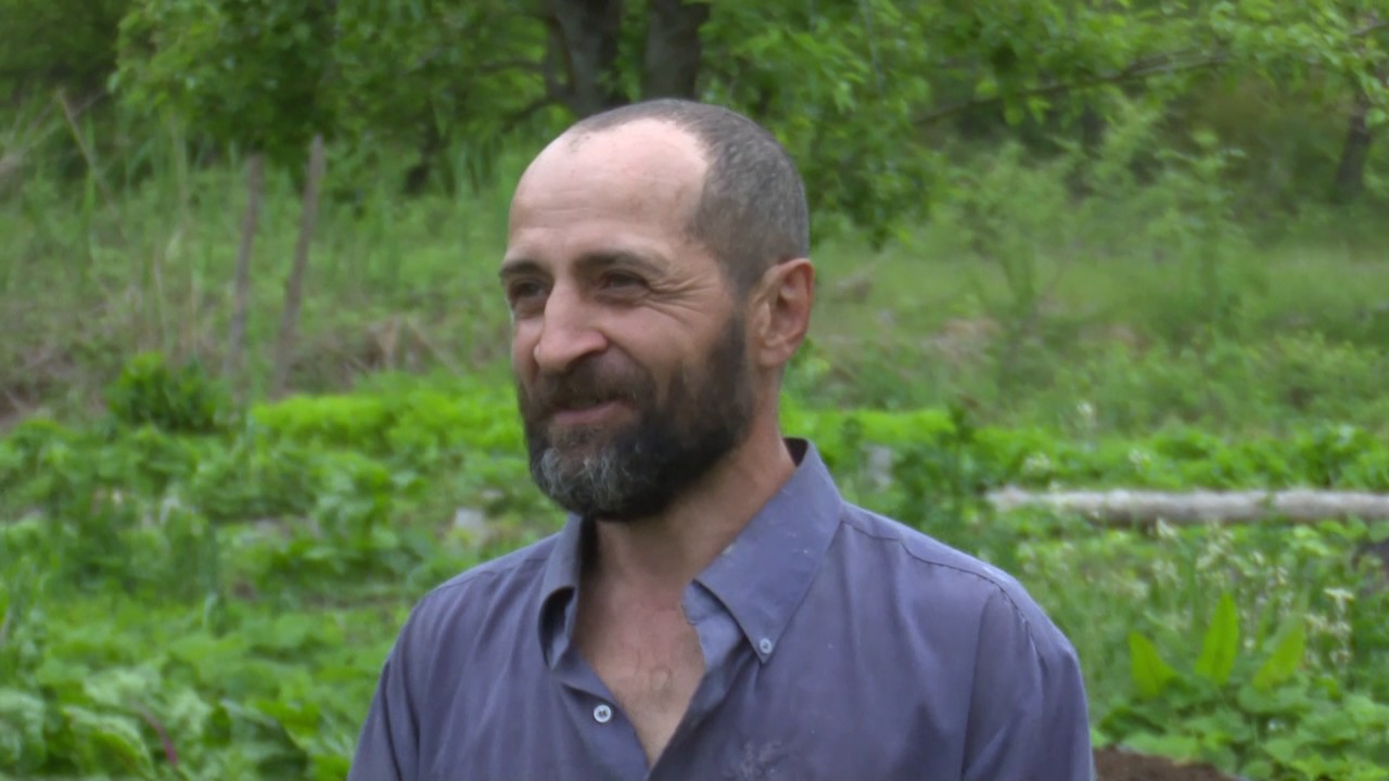Ազատագրված հայրենիք- Կովսական