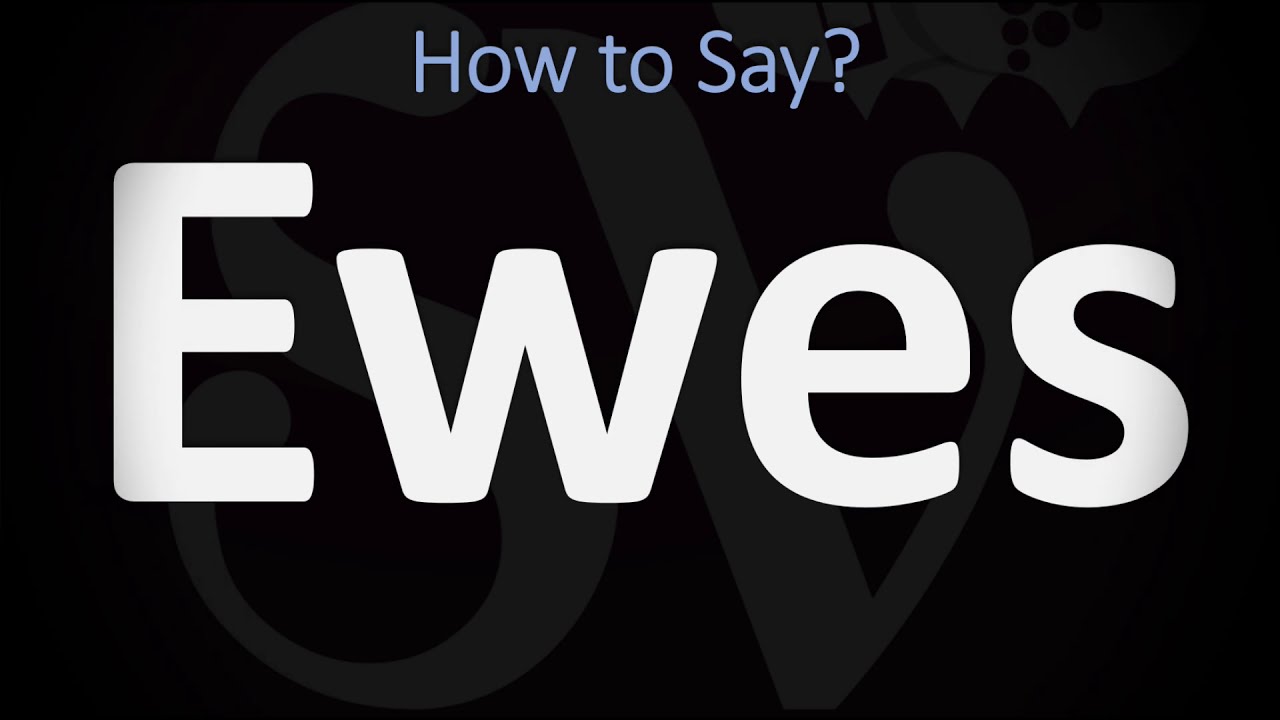 How to Pronounce Ewes? (CORRECTLY)