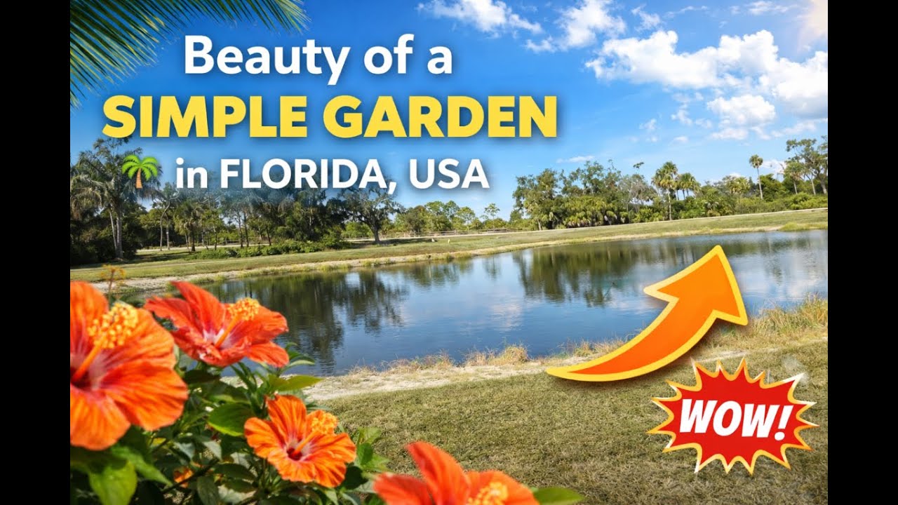 Beauty of a simple garden in Florida, US