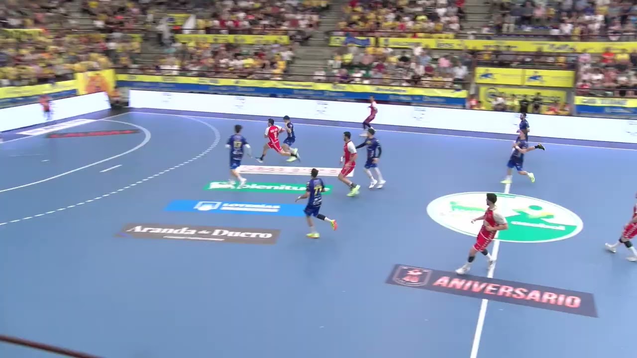 35ª Liga Plenitude J30: Tubos Aranda Villa de Aranda - Bada Huesca 28-34