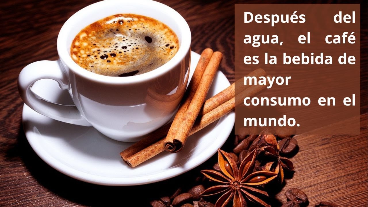 Kaf&eacute; con prop&oacute;sito