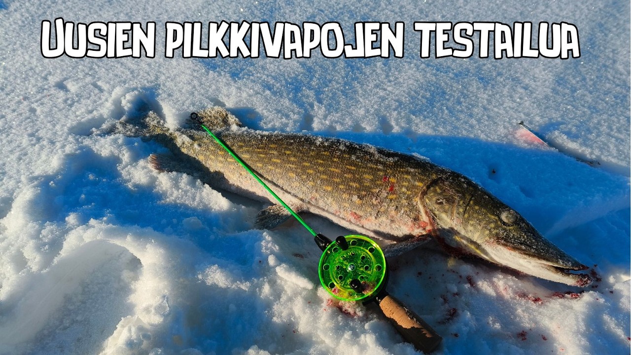 TESTAILLAAN UUSIA PILKKIVAPOJA