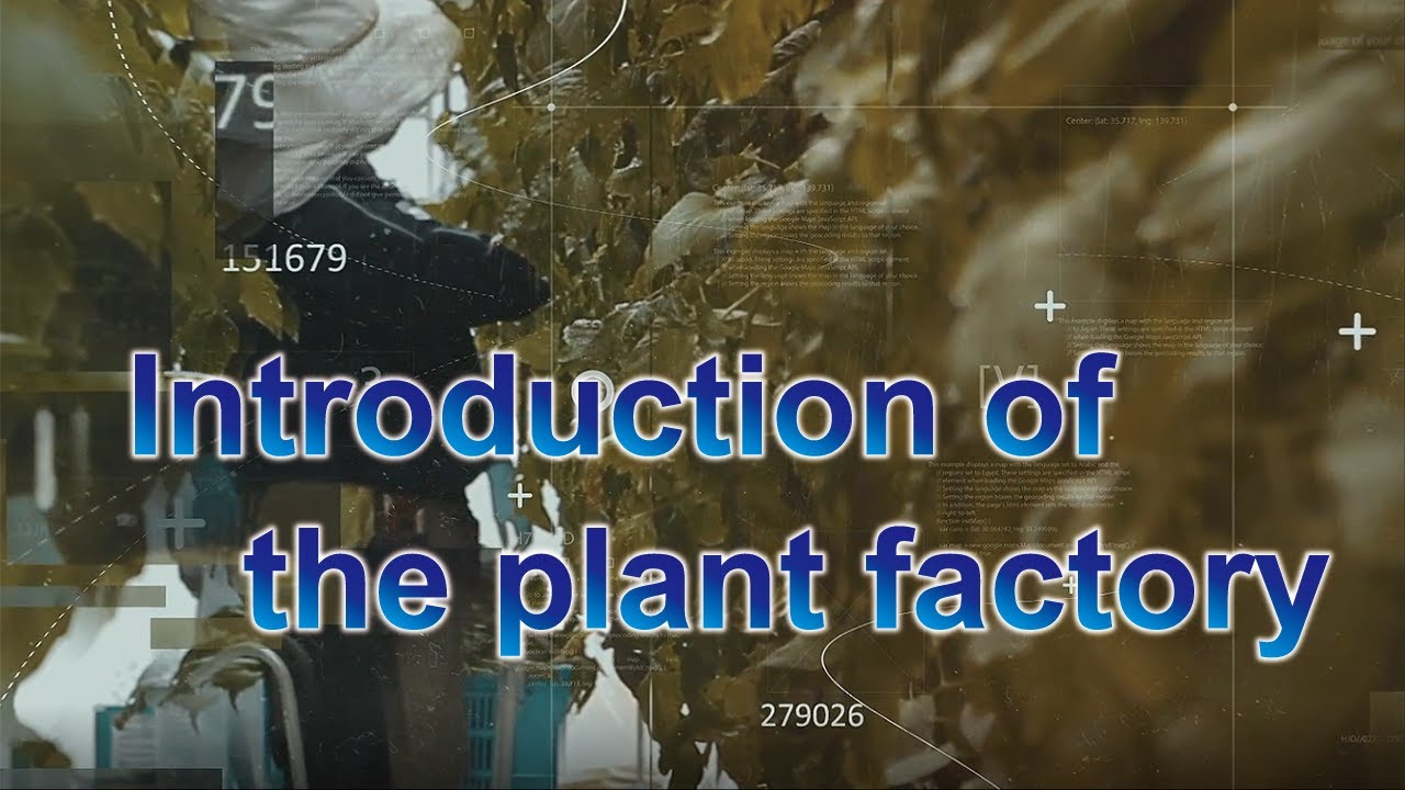 Research on Greenhouse horticulture in NARO