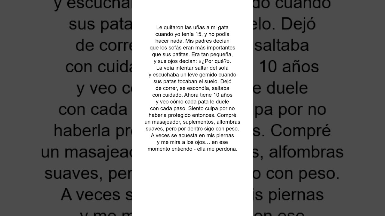Gato 😿 #historia #historias #historiasdeamor #historiadelavida #noticias #an&eacute;cdota