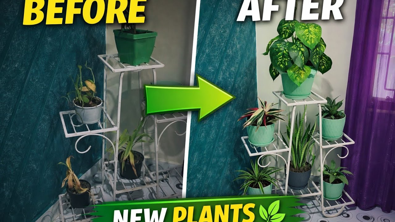 Ghar Ka Khali Corner Aise Banayein Green 🌱 | Plant Stand Decor
