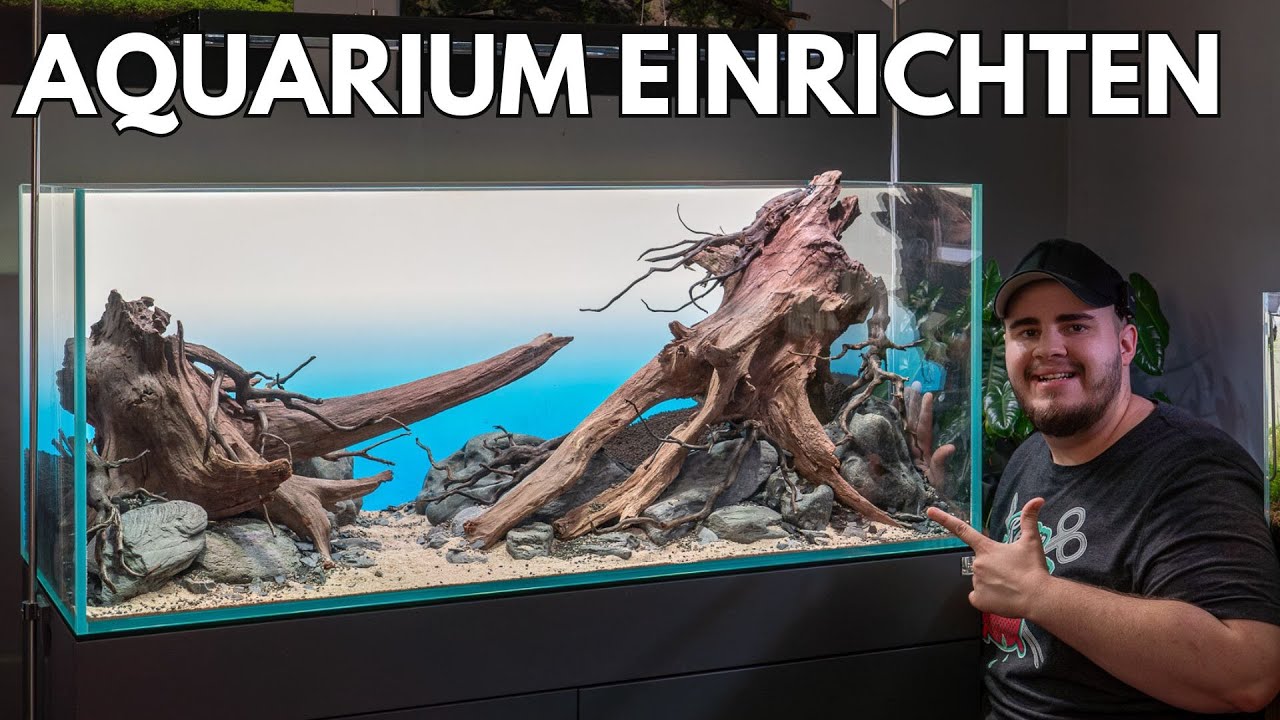 Mein neues Hardscape im 300L NATURE Style Aquarium!