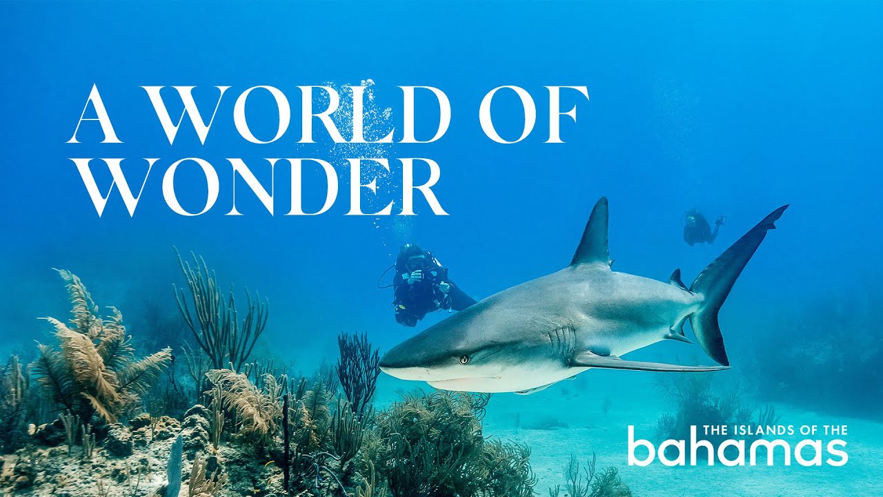 A World of Wonder | Freeport