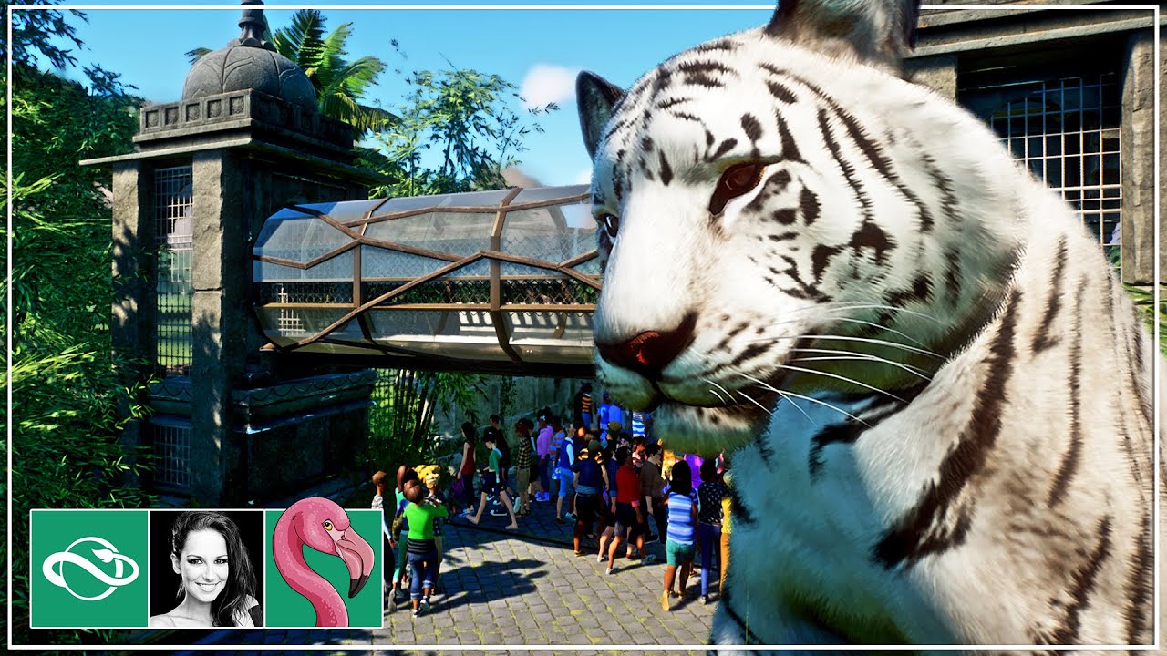 I Built a White Bengal Tiger Temple Habitat with Overpass | Planet Zoo Franchise Mode