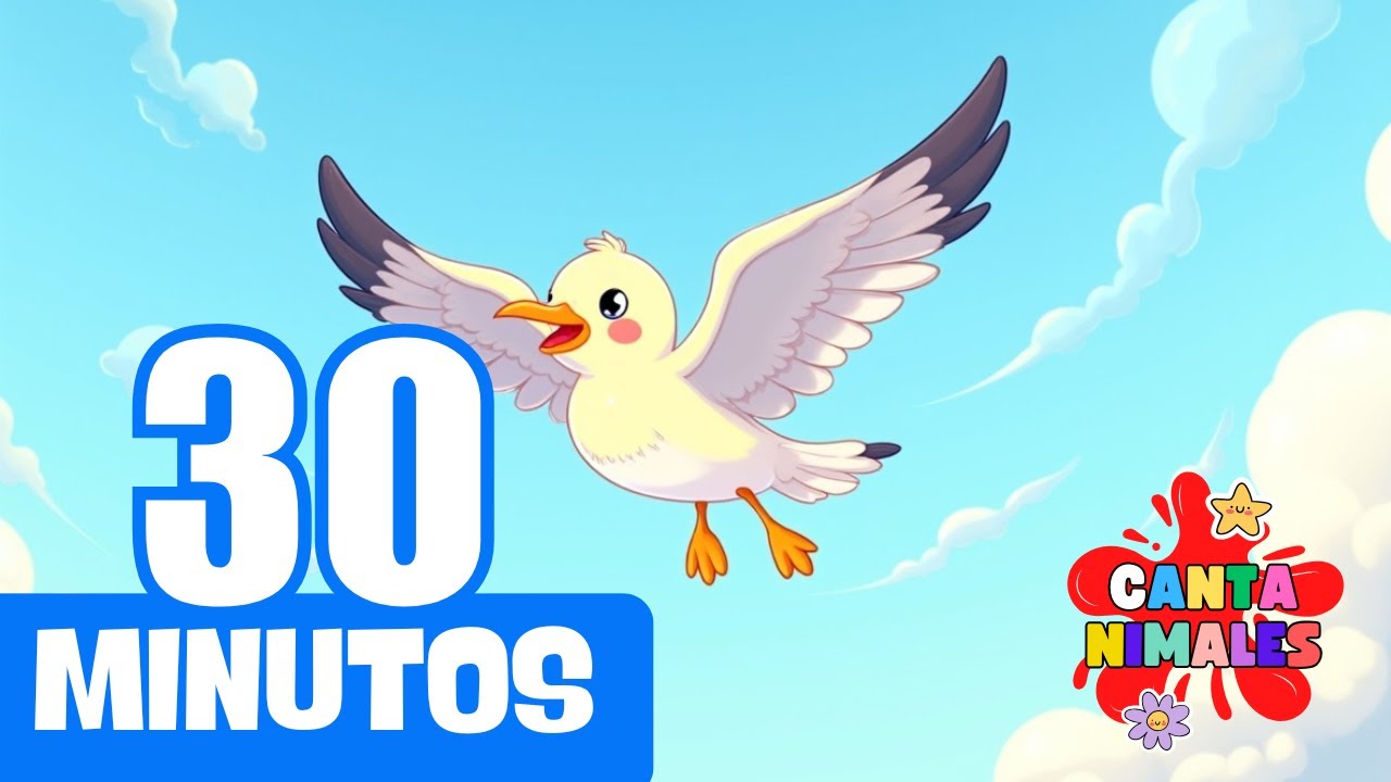 🌊 Música infantil educativa | Gaby la gaviota canta y juega 🕊️