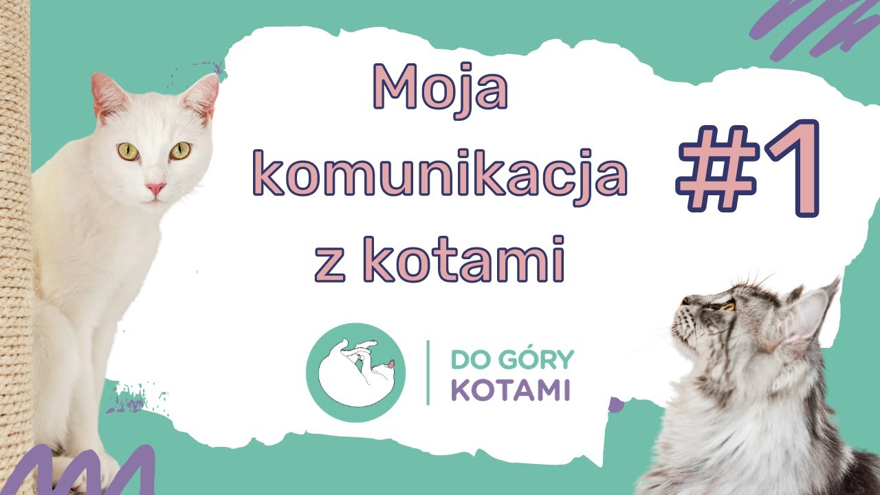 Poznajmy się - Moja komunikacja z kotami | Podcast Do góry kotami 001 | Joanna Szopińska