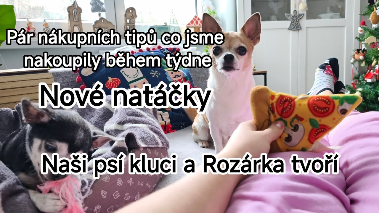 ♥️Naše nákupy z DM-Pepco-Sinsay-Teta a IKEA-zkouška  natáček-radost našich kluků a Rozárky tvoření .