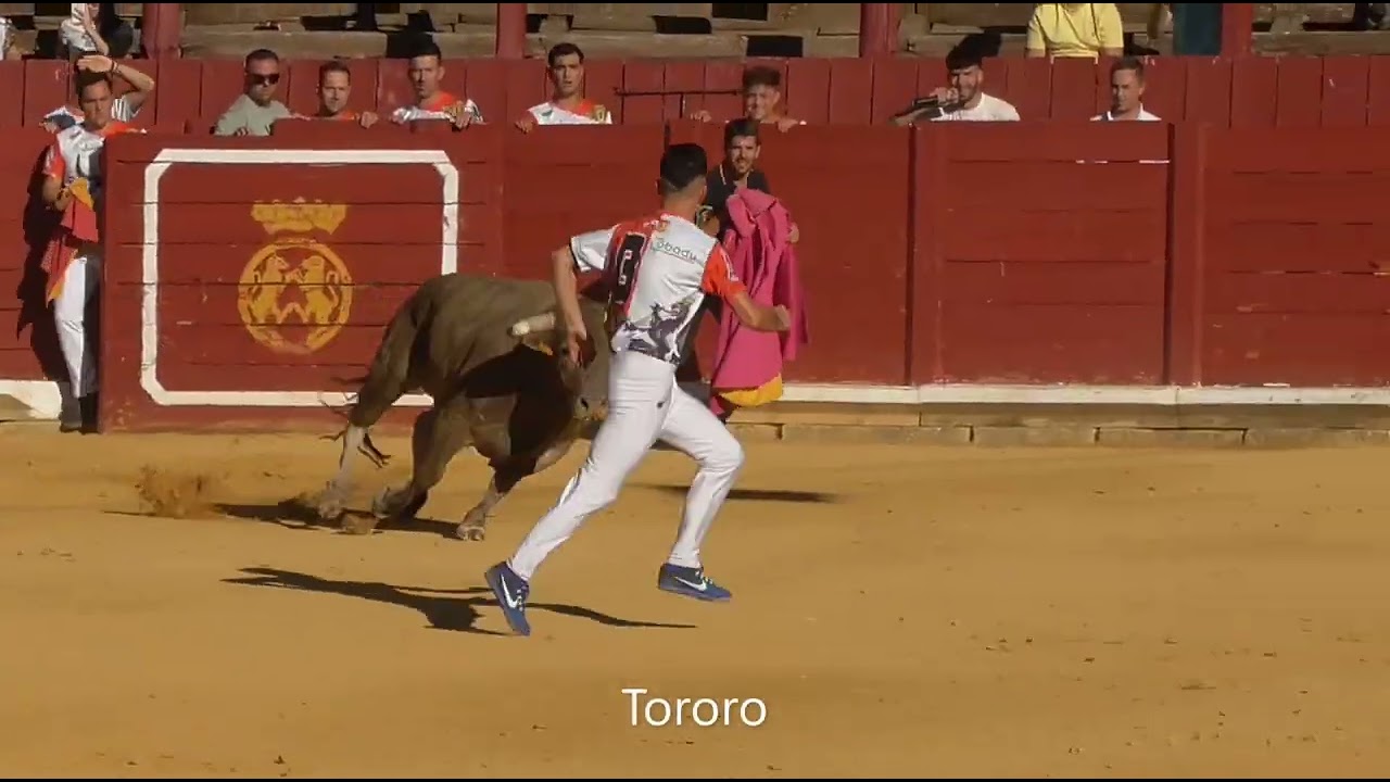 Toro 2025