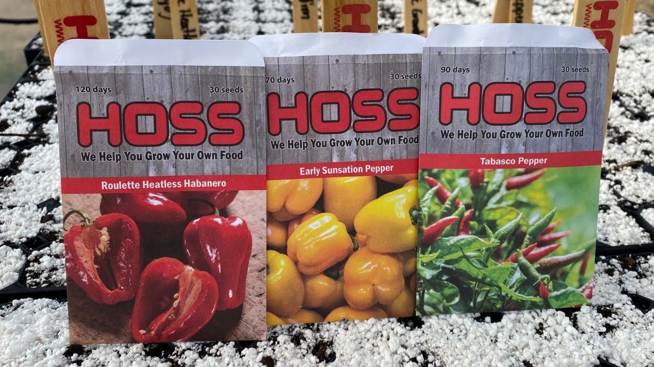 HOW TO GROW THE BEST PEPPER PLANTS!