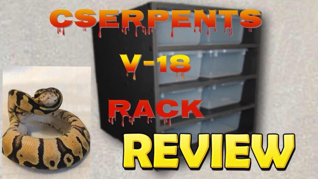 CSerpent V-18 Rack Review plus Hobby Hack!