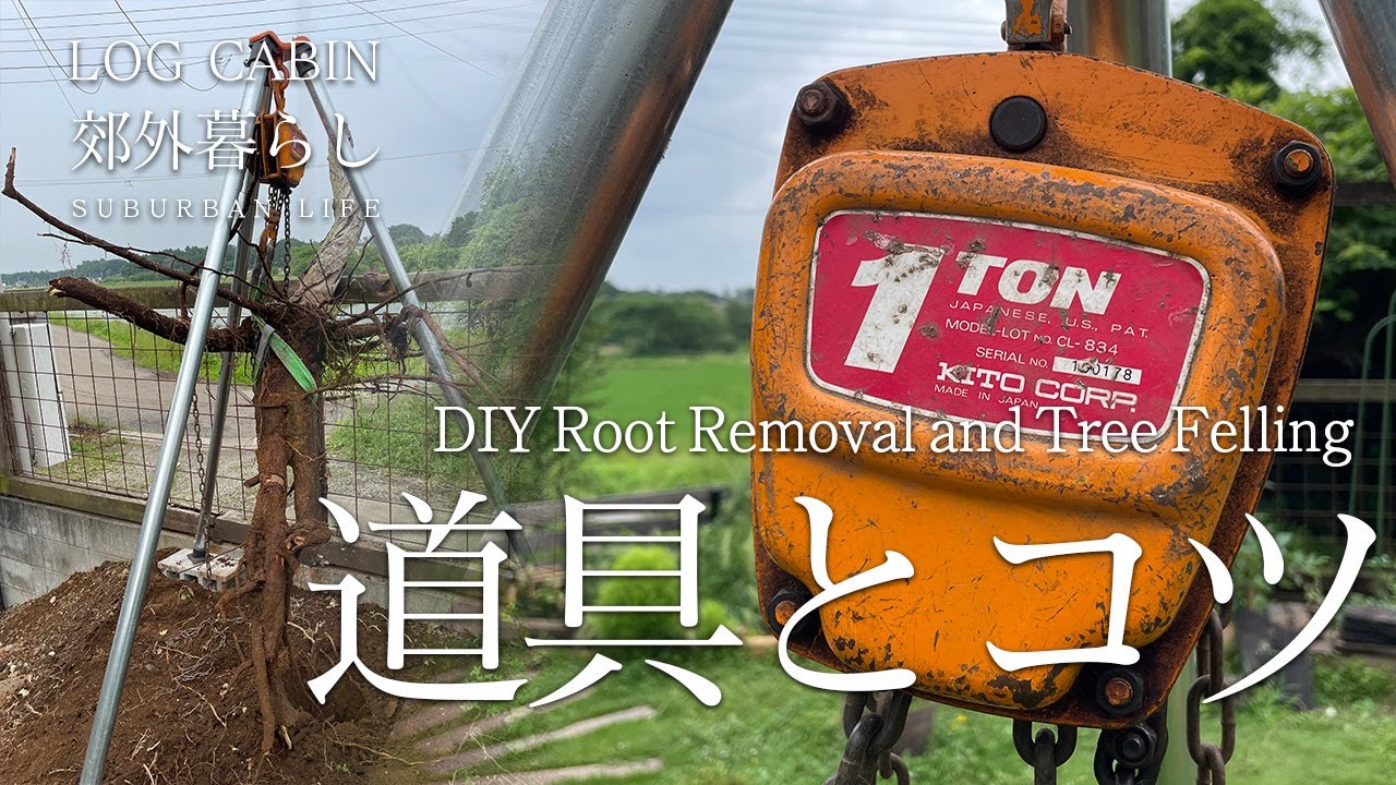 抜根。チェーンブロックで庭木を人力で抜く | コツや道具も5つ紹介 ｜暮らしのvlog