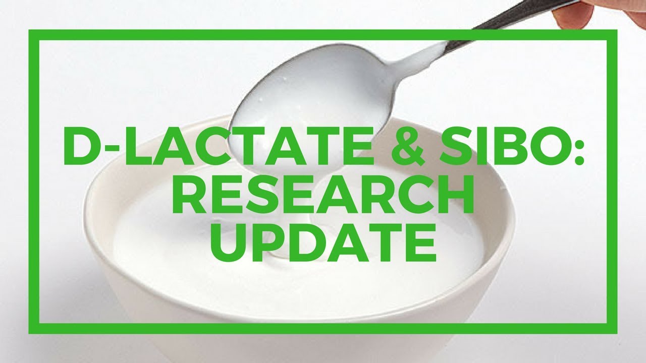 NEW Research: Probiotics, Brain Fog, SIBO, and D-Lactate