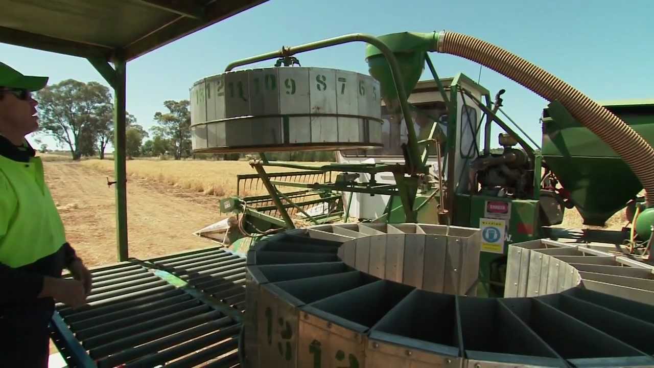 GCTV9: Southern Pulse