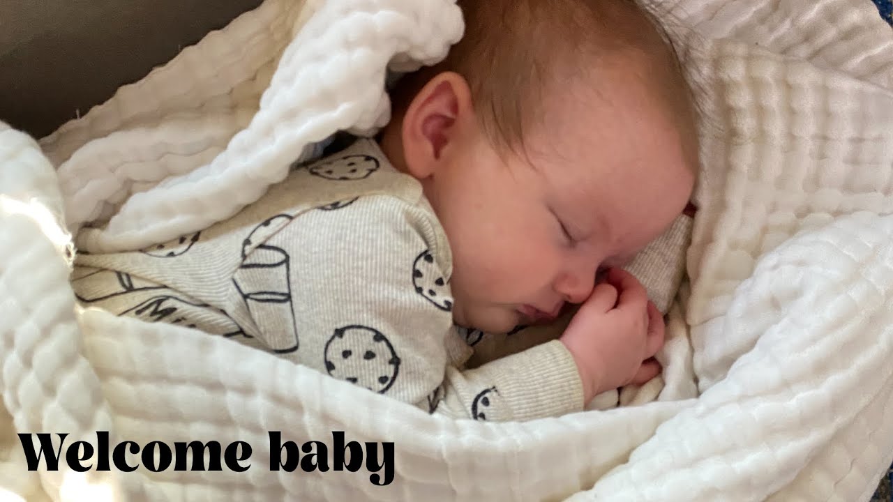 Spring update and meet our new baby!