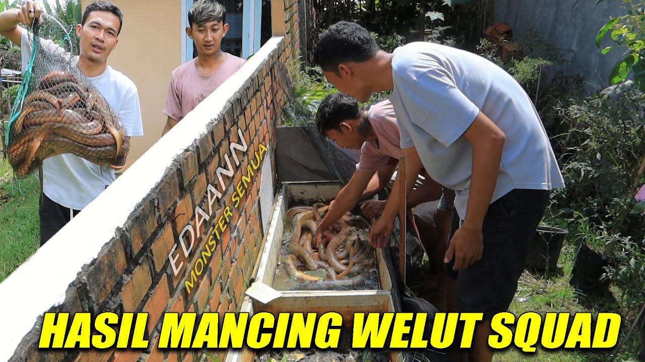 UNBOXING PENAMPUNGAN HASIL MANCING WELUT SQUAD SELAMA BERBULAN-BULAN