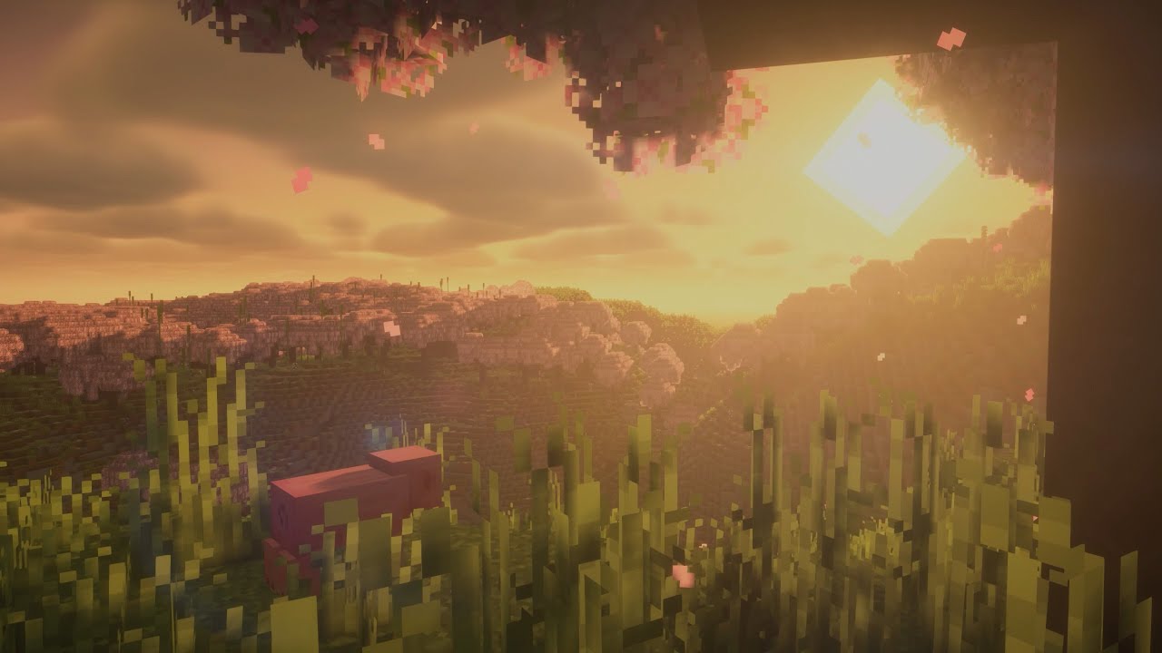 you found the perfect spot... (Nostalgic Nature Ambience)