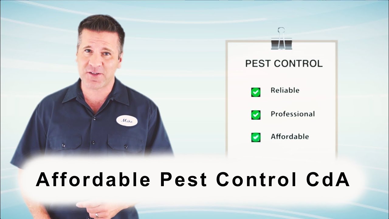 Affordable Pest Control CDA