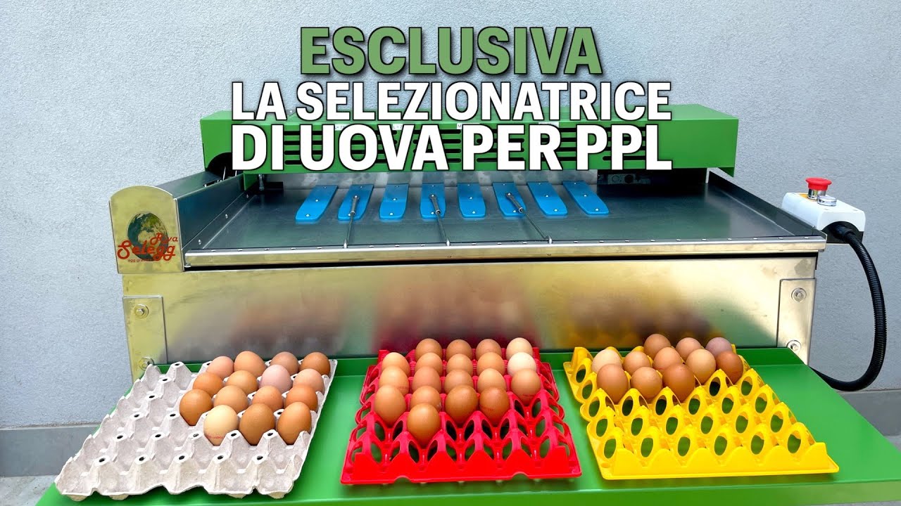 Macchina Selezionatrice Uova - Esclusiva Il Verde Mondo