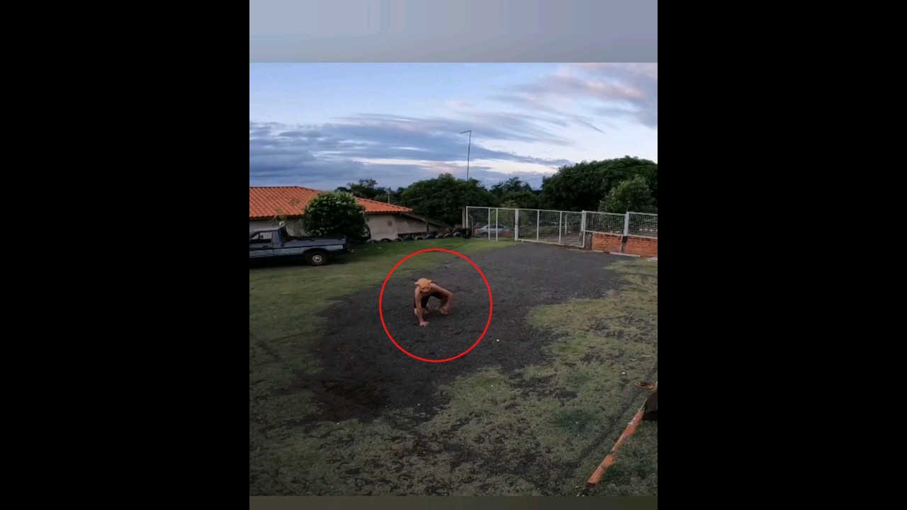 ESSA CRIATURA MEDONHA APARECEU NO S&Iacute;TIO