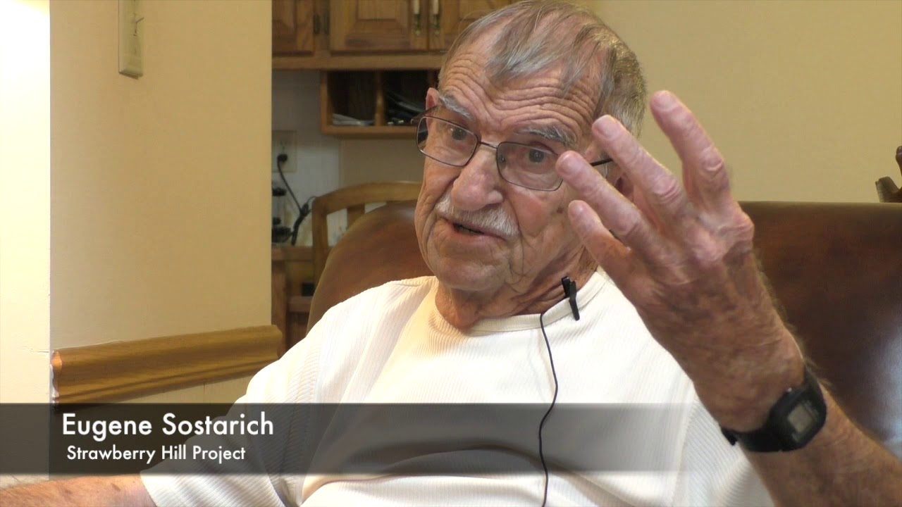 Eugene Sostarich, Strawberry Hill (Kansas City) Project, by Jason A. Higgins