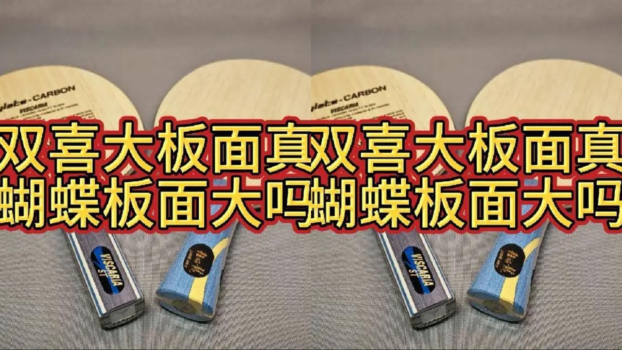红双喜大板面真的比蝴蝶板面大吗？#红双喜 #蝴蝶底板 #底板板面