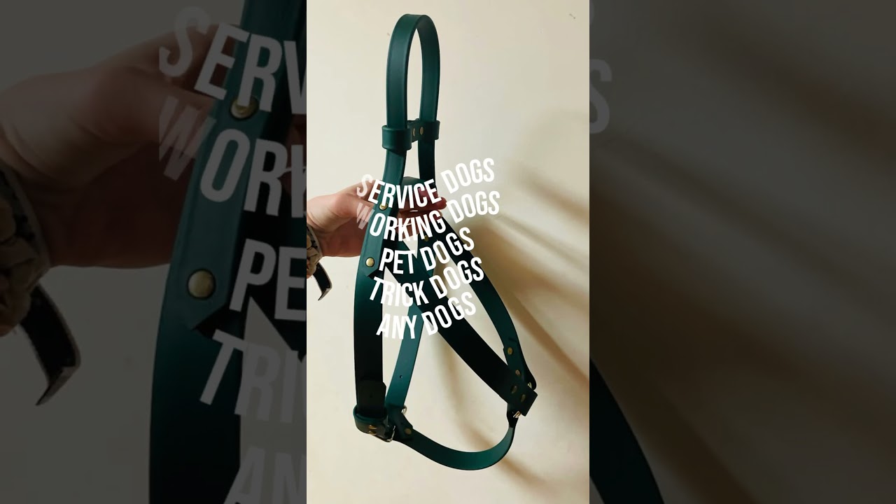 Custom Affordable Dog Gear!!! #viralvideo #doggear #servicedogs #smallbusiness