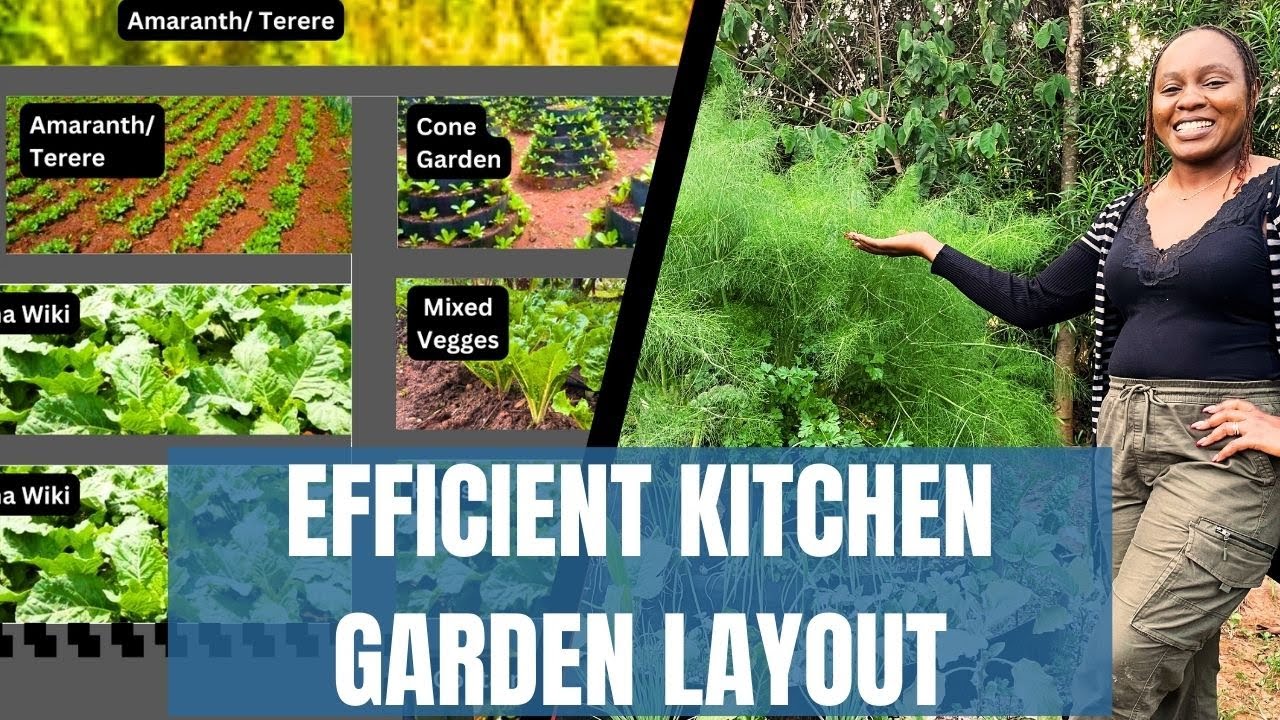 Profitable Kitchen Garden Layout 🌱💰 | Smart Gardening Tips for Big Harvests