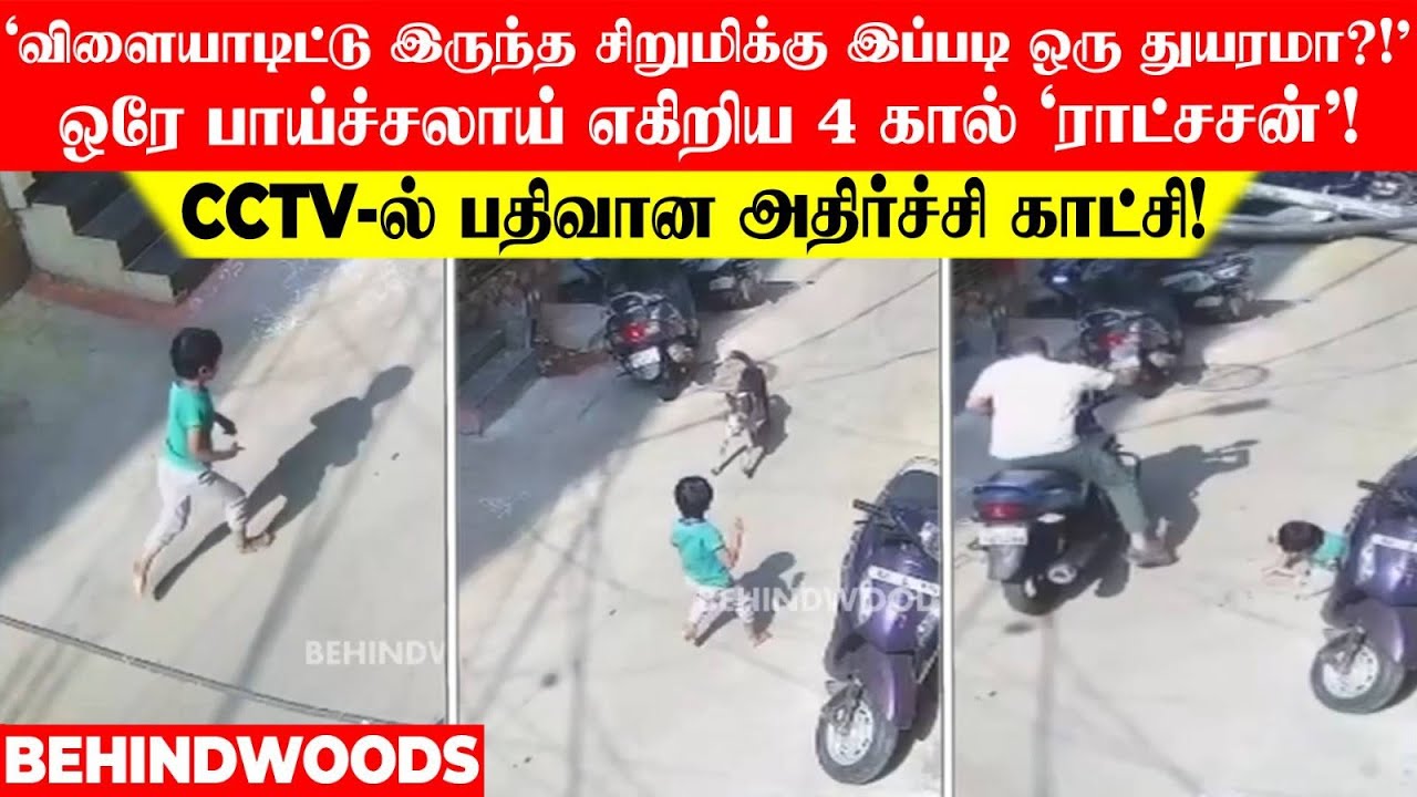 'விளையாடிட்டு இருந்த சிறுமிக்கு இப்படி ஒரு துயரமா?!'ஒரே பாய்ச்சலாய் எகிறிய 4 கால் 'ராட்சசன்'!