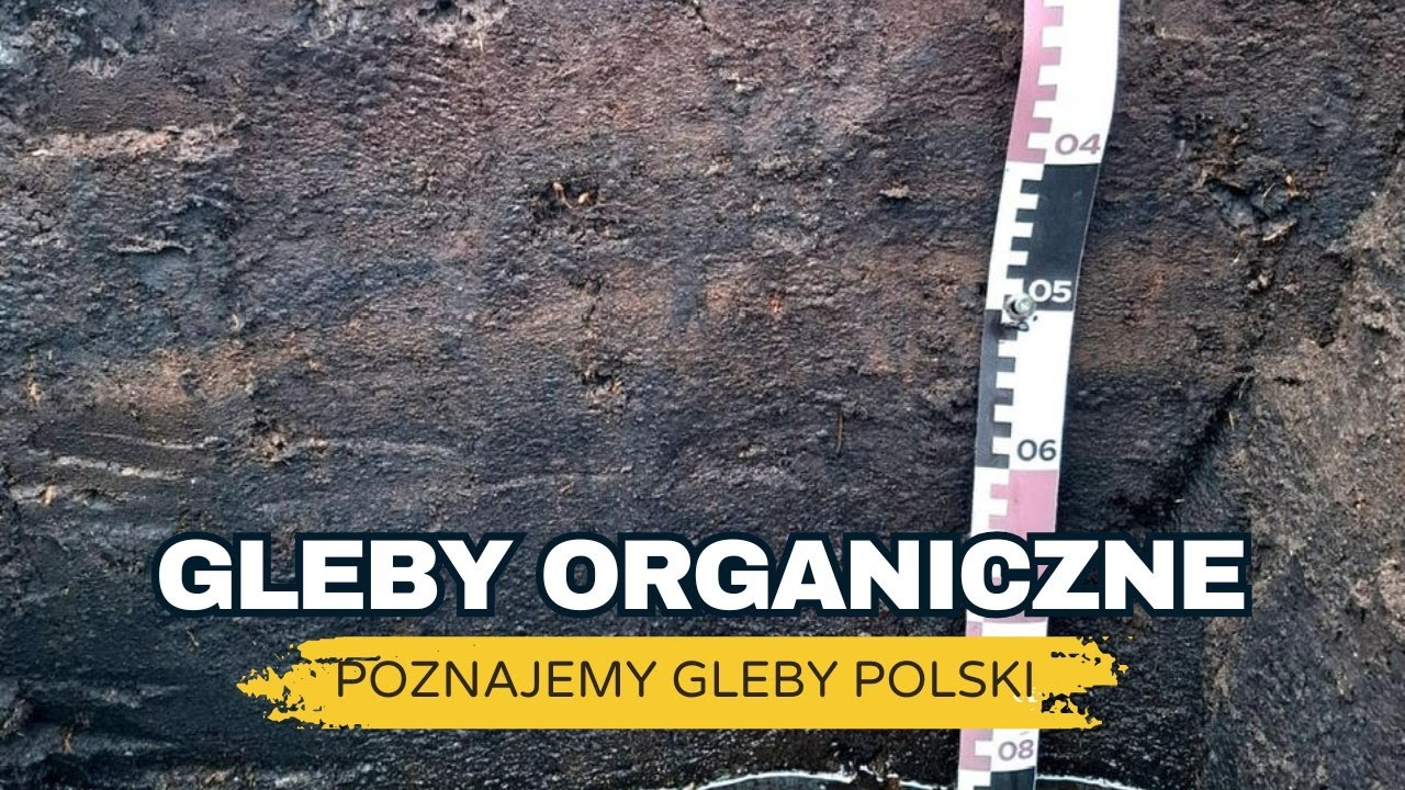 💡Poznaj gleby organiczne i mineralno-organiczne użytkowane rolniczo w Polsce | e-pole