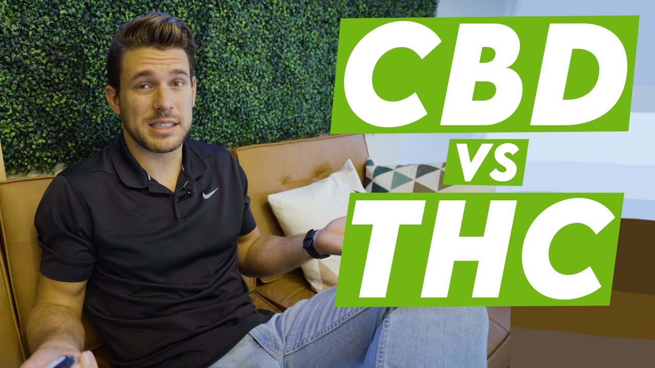CBD vs THC THE MAIN DIFFERENCES!