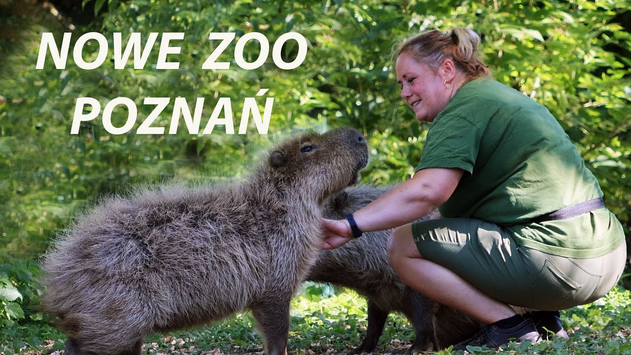 Ssaki i ptaki Nowego Zoo w Poznaniu. Przewodnik - 2025.