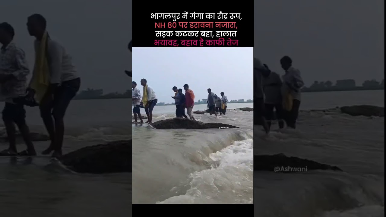 NH -80😔 #SABOUR #BHAGALPUR #bhagalpurnews #barhnews