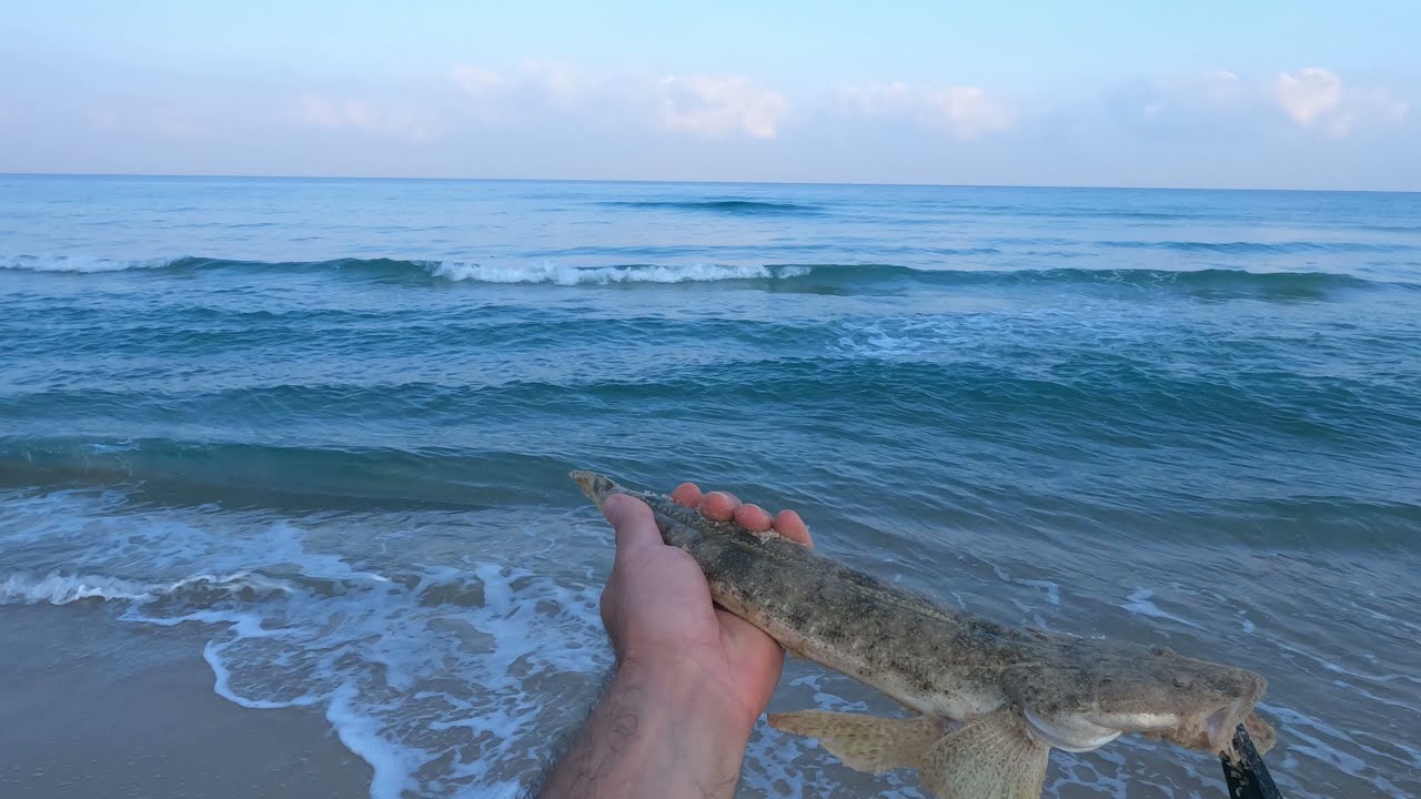 תפסתי דג מוזר. דיג אולטרה לייט ישראל Israel fishing