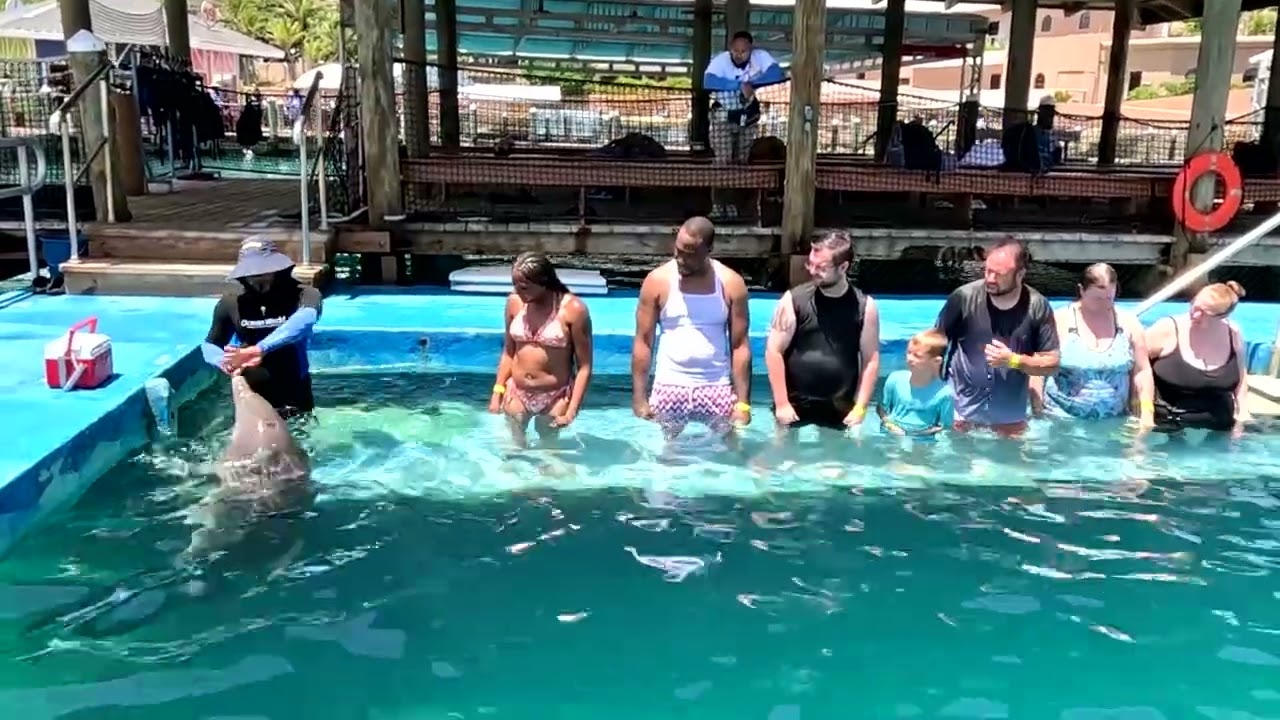 Ocean World - Dolphin encounter - Puerto Plata DR - 8.14.25
