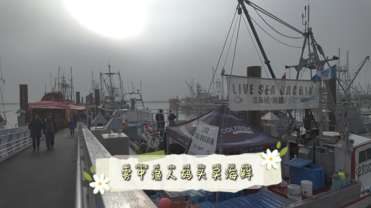 雾中渔人码头买海鲜