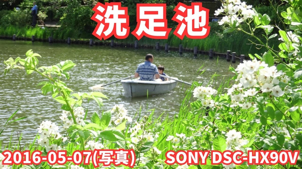 写真 洗足池 2016-05-07 (SONY DSC-HX90Vで撮影)