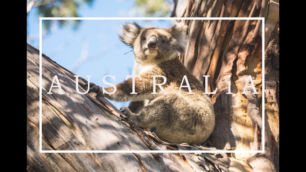 AUSTRALIA 🦘 OSTK&Uuml;STE - vacay BEST PLACES 4K