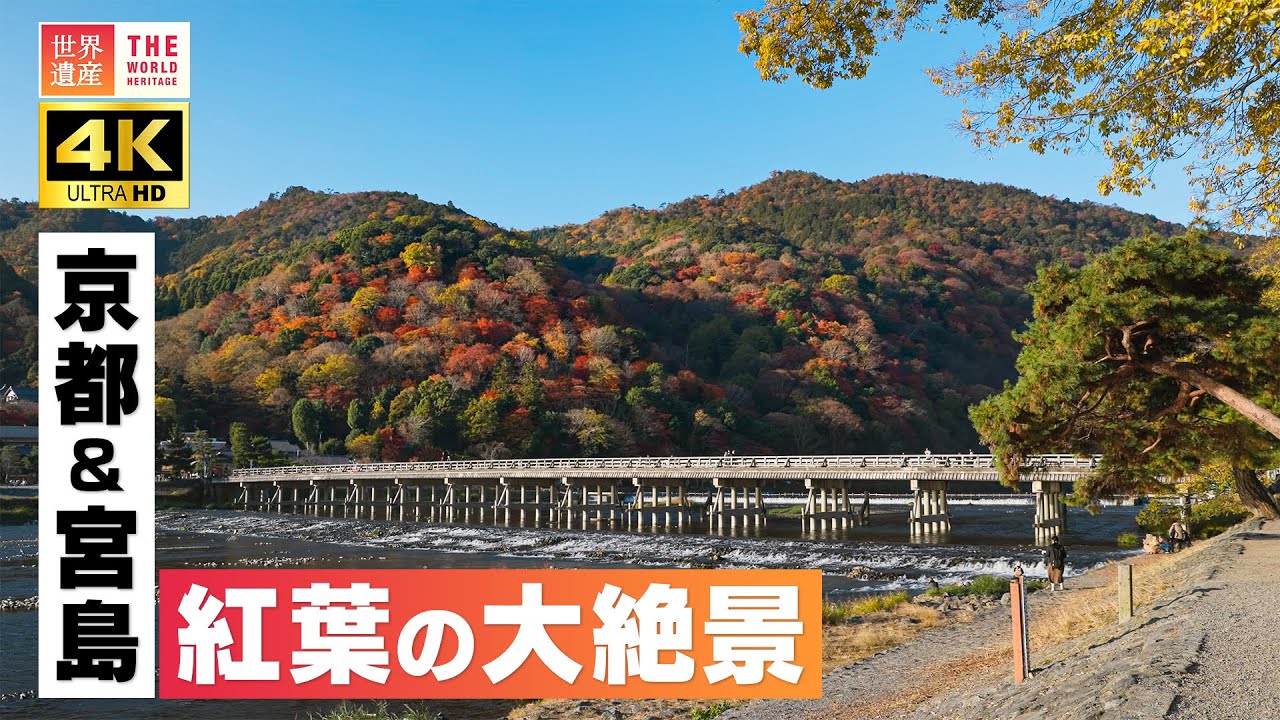 【4K】京都・宮島　紅葉の絶景！