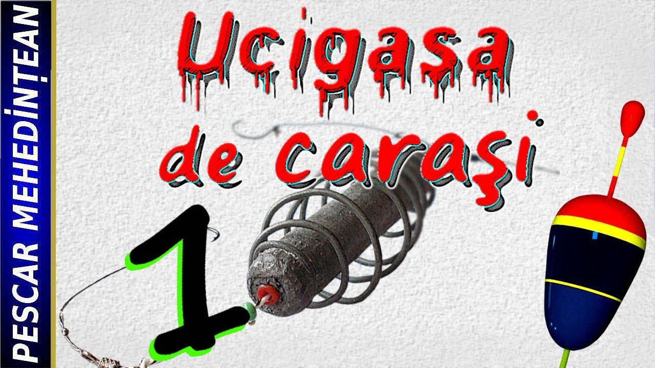 'Ucigaşa' de caraşi  #1