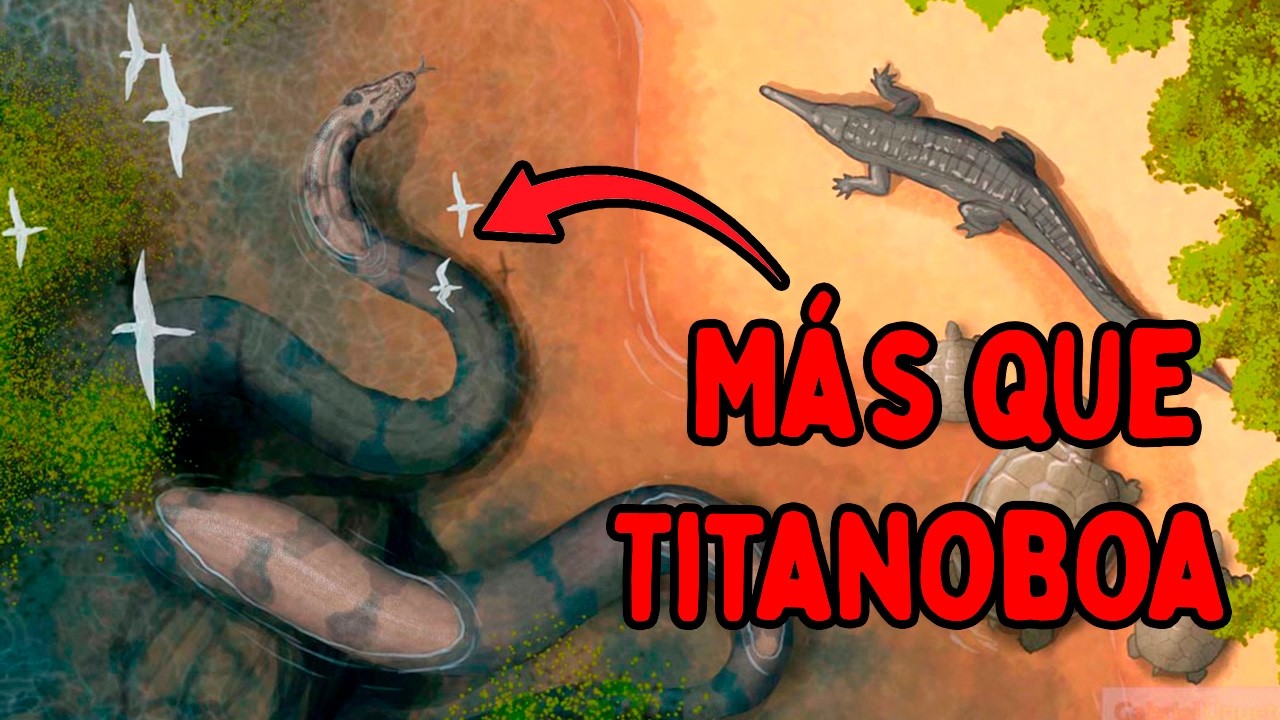 Serpientes Prehist&oacute;ricas que le Dar&iacute;an Ofidiofobia a la Titanoboa