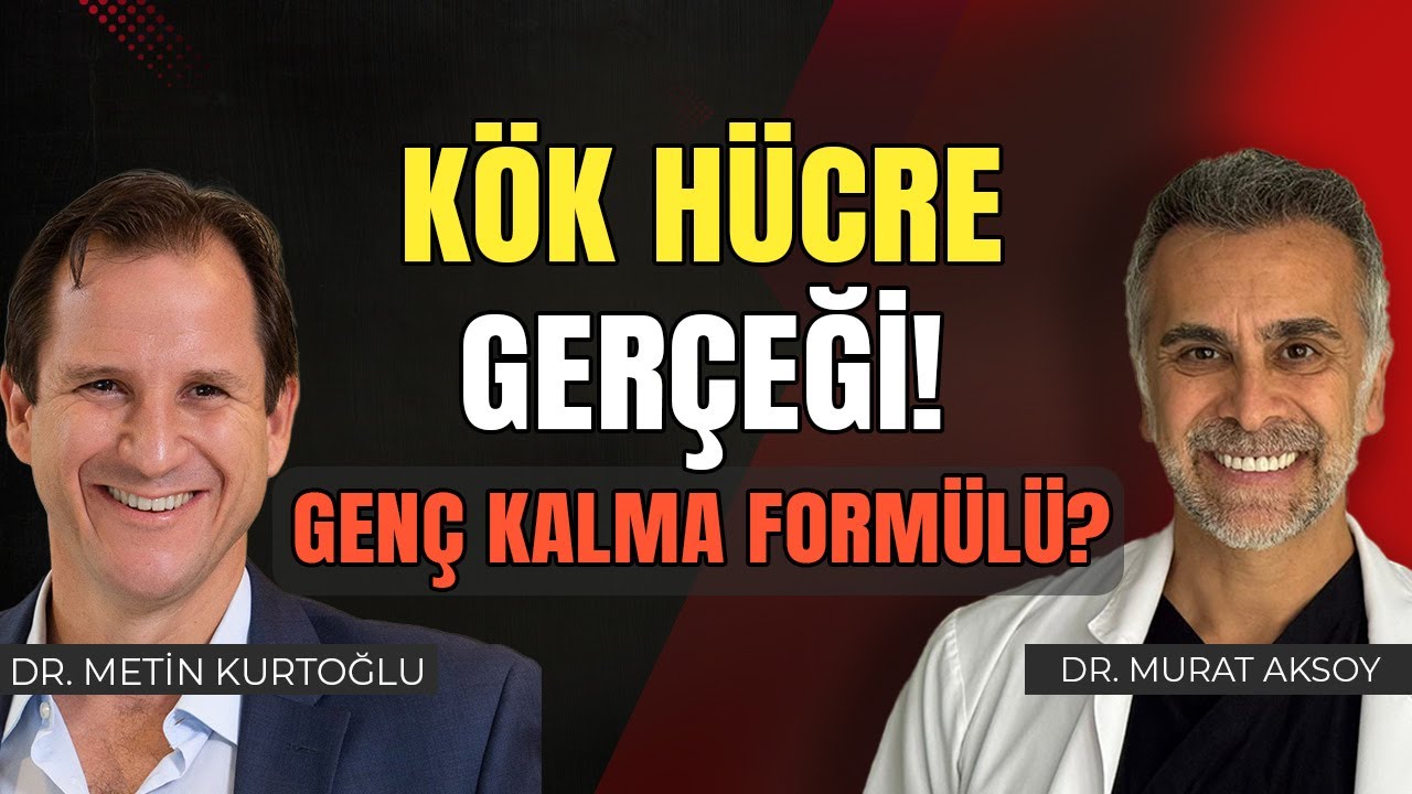Vücut Kendini Nasıl Yeniliyor? Kök Hücrelerin Bilinmeyen Gücü