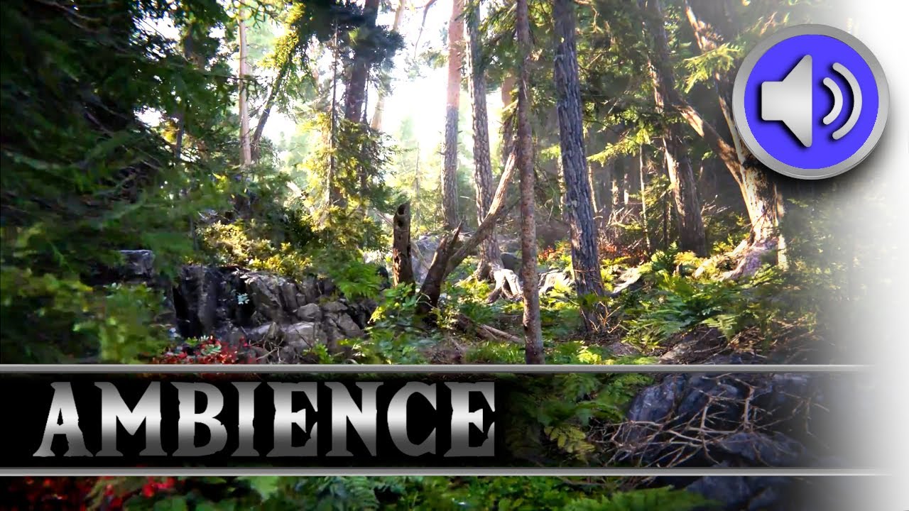 8 Hours Windy Forest For Sleep - Relaxing Sounds and Ambience - NO BIRDS ASMR
