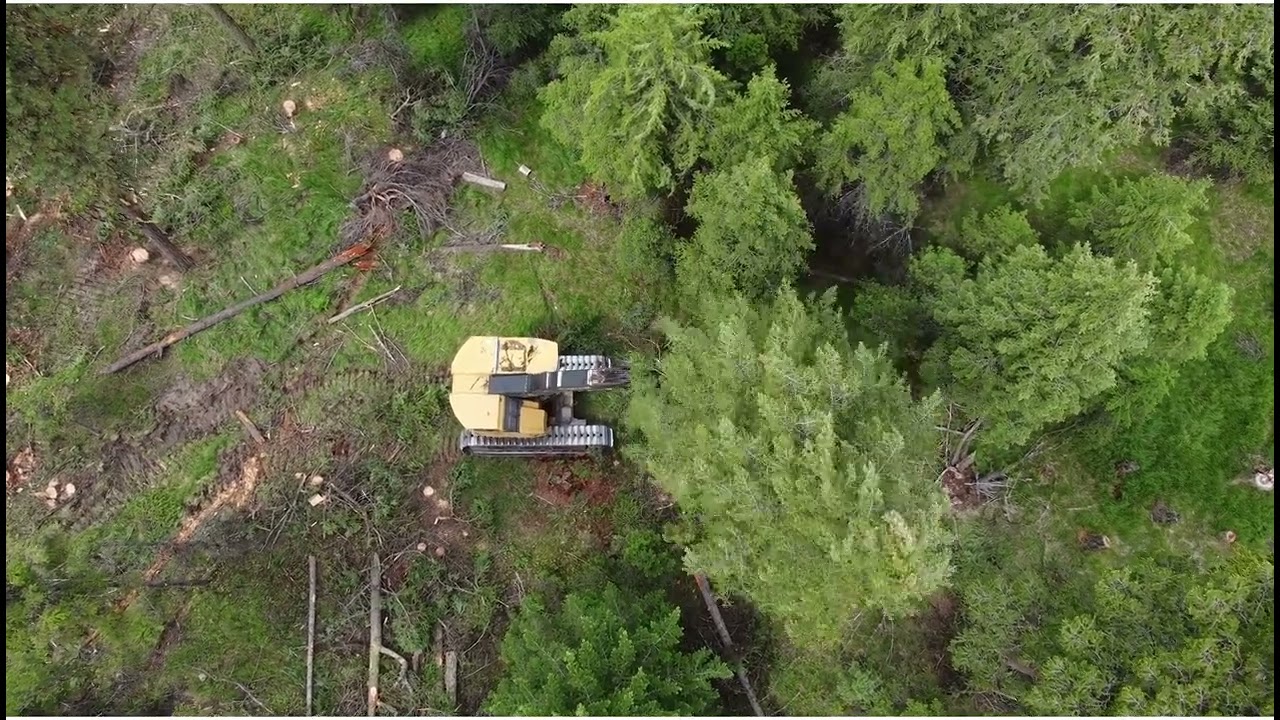 Timber Shredders LLC Appomattox, Virginia, VA