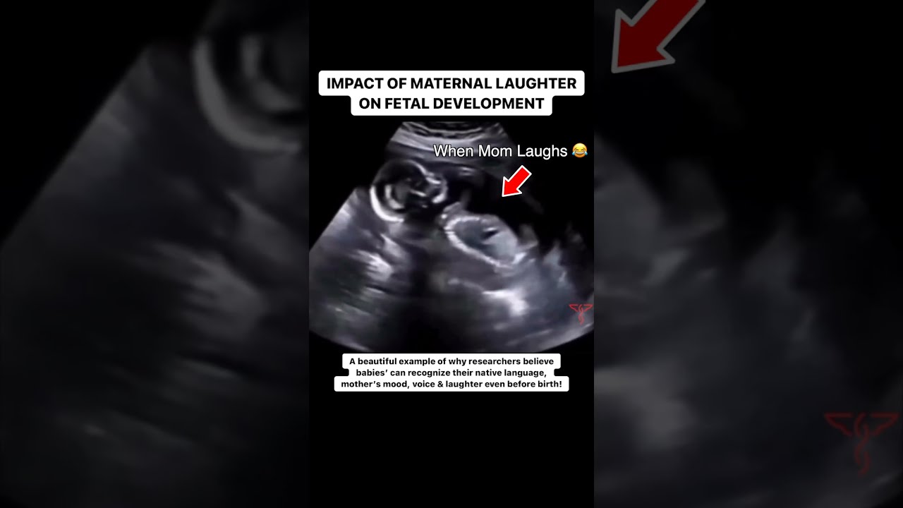 Effect of a Mother's Laughter on an Unborn Baby